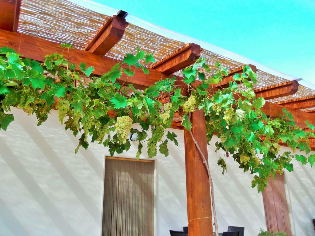 مارتينا فرانكا Red Rose B&B المظهر الخارجي الصورة