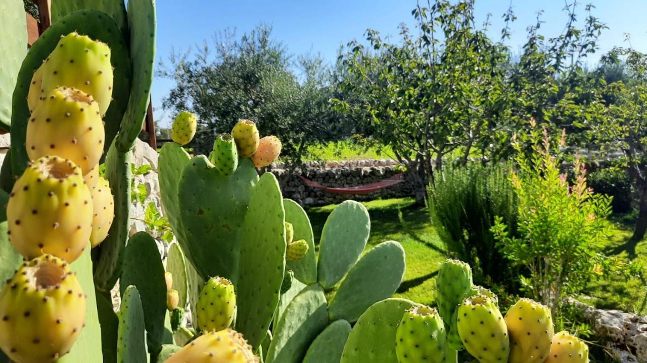 مارتينا فرانكا Red Rose B&B المظهر الخارجي الصورة