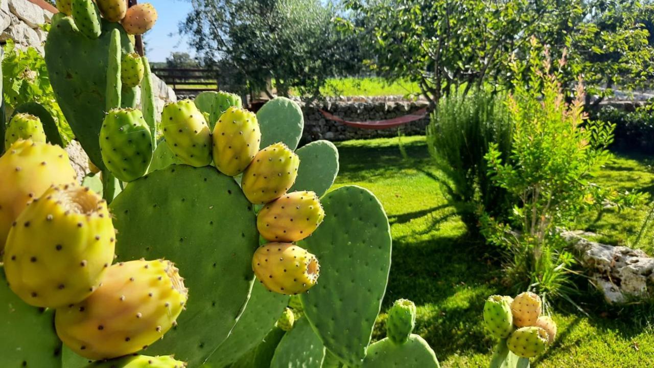 مارتينا فرانكا Red Rose B&B المظهر الخارجي الصورة