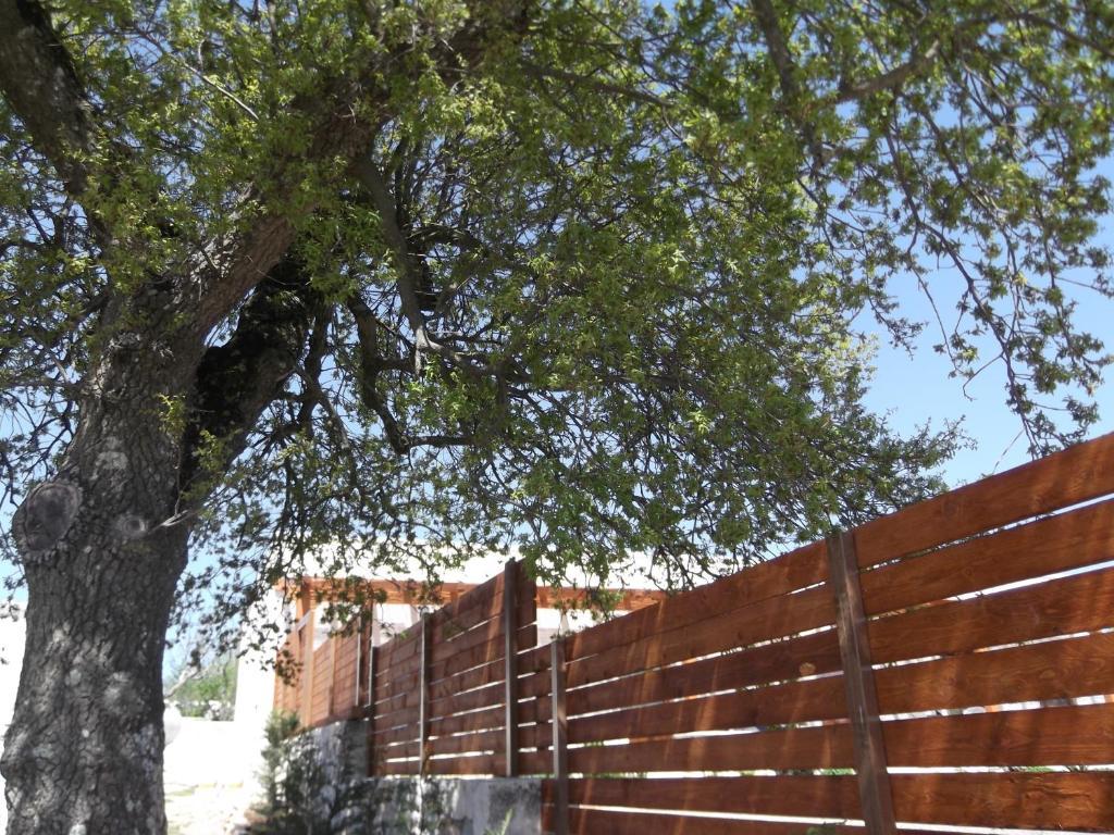 مارتينا فرانكا Red Rose B&B المظهر الخارجي الصورة